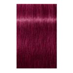 Igora Royal Permanent Hair Color 0.89