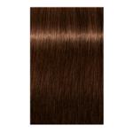 Igora Royal Permanent Hair Color 5.57