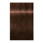 Igora Royal Permanent Hair Color 5.6