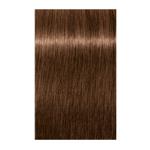 Igora Royal Permanent Hair Color 6.65