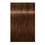 Igora Royal Permanent Hair color 6.6