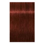 Igora Royal Absolutes Permanent Hair Color 6.80