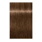 Igora Royal Absolutes Permanent Hair Color 7.450