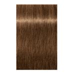 Igora Royal Absolutes Permanent Hair Color 7.50