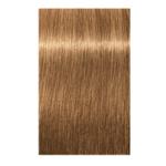 Igora Royal Absolutes Permanent Hair Color 8.50