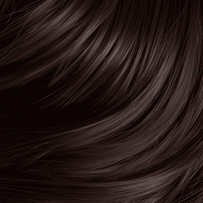Classic Collection Permanent Hair Color 4.56 BR