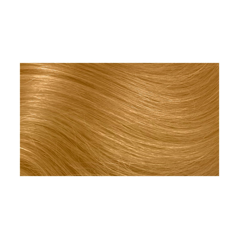 10GG Italian Gold Hair Color